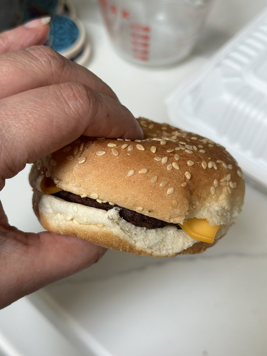 What the heck <a href="/BurgerKingCAN/">Burger King Canada</a> $10 for this? If my hand was turned the other way round you could read my palm, I had to zoom in so much to show the burger!