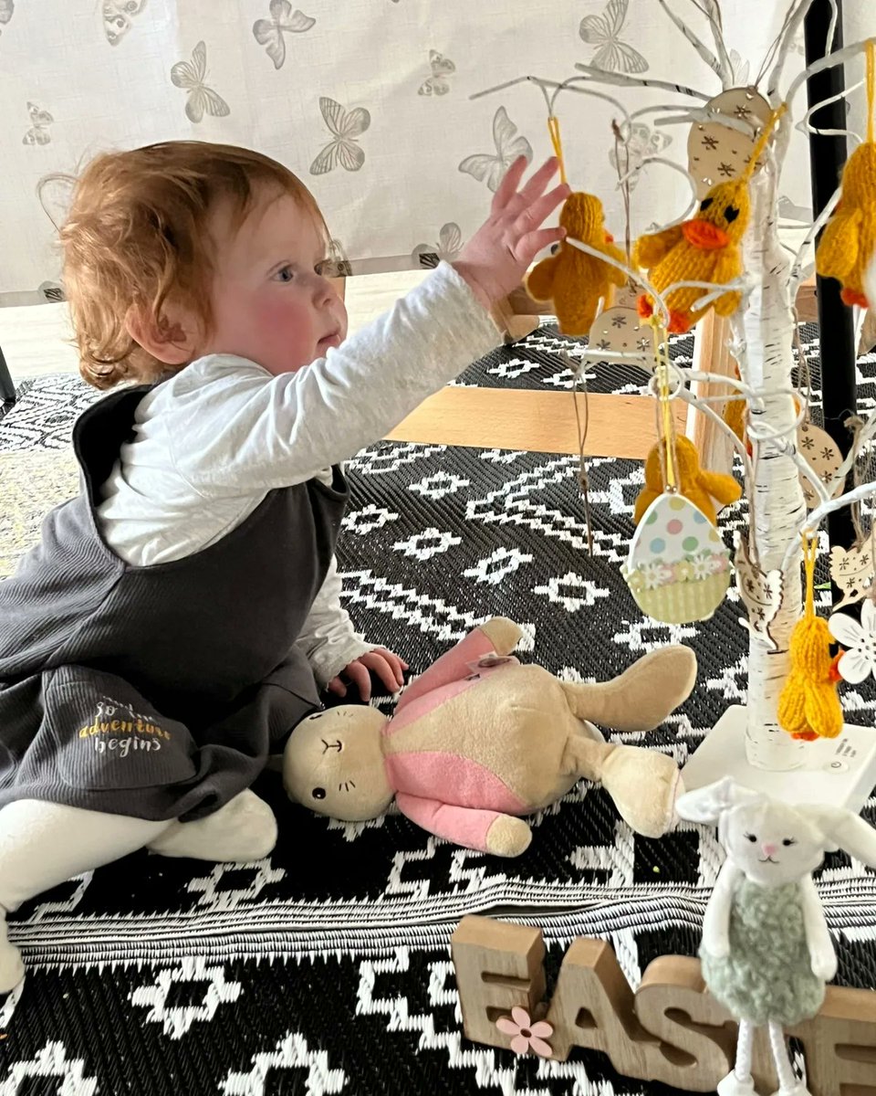 Katie Knowles tweet media