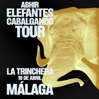 ๐๐๐๐ ๐๐ ๐๐ tweet media