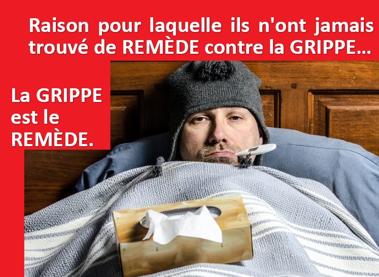 benoitm_mtl's tweet photo. #grippe #bigpharma #systemeimmunitaire https://t.co/PU6XqiUjAA
