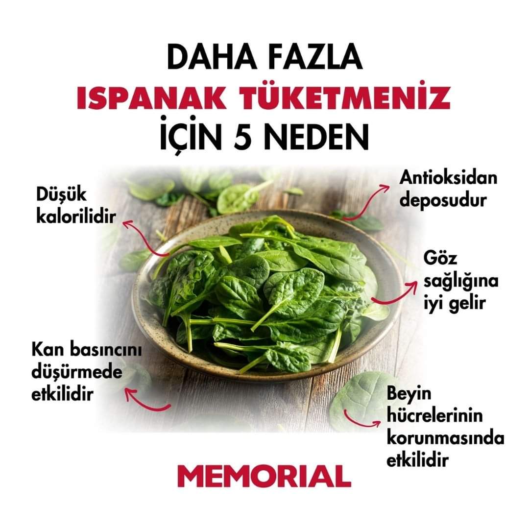 Recepsamuncu1's tweet photo. Sofraların yeşil kahramanı: Ispanak! 🌿
Ulusal Ispanak Günü’nde siz de ıspanağı sofralarınıza daha sık taşıyın! Hem lezzetli hem de besleyici olan yeşil yapraklı mucizenin faydalarını birlikte keşfedelim
#UlusalIspanakGünü #Ispanak #Beslenme #SağlıklıBeslenme #MemorialSağlık https://t.co/yZEiZZtsJQ
