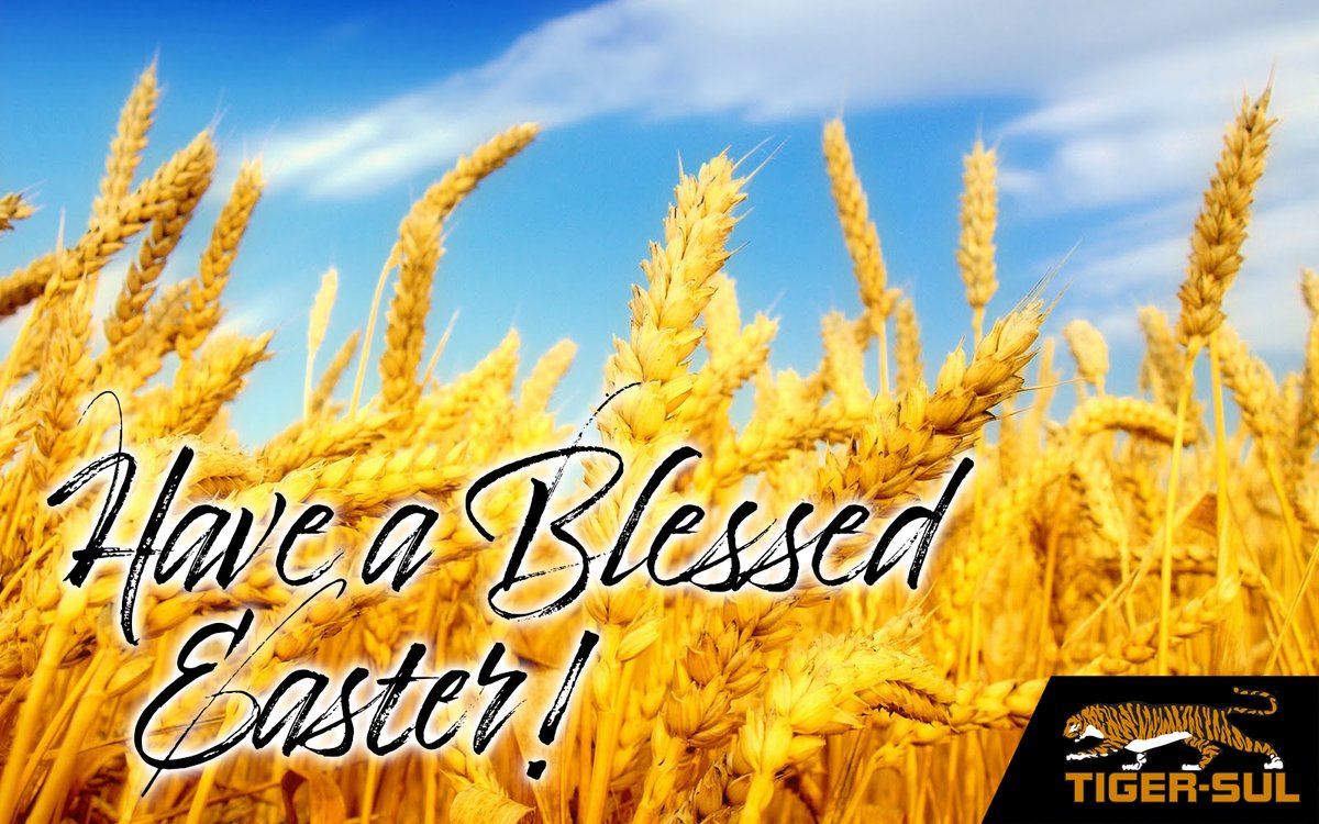 TigerSulProduct's tweet photo. “He is not here: for he is risen, as he said. Come, see the place where the Lord lay." – Matthew 28:6 https://t.co/dwVQpg2F7v
