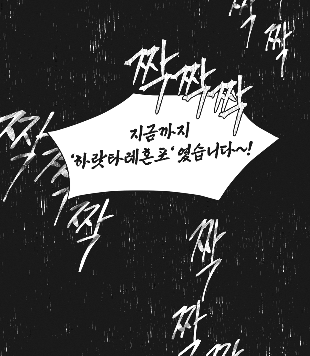 사🤍🖤 tweet media