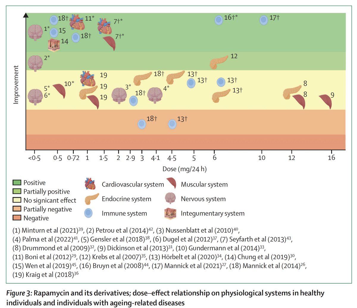 Here is a systematic review of all the evidence on rapamycin and rapalogs
thelancet.com/journals/lanhl… @LancetLongevity