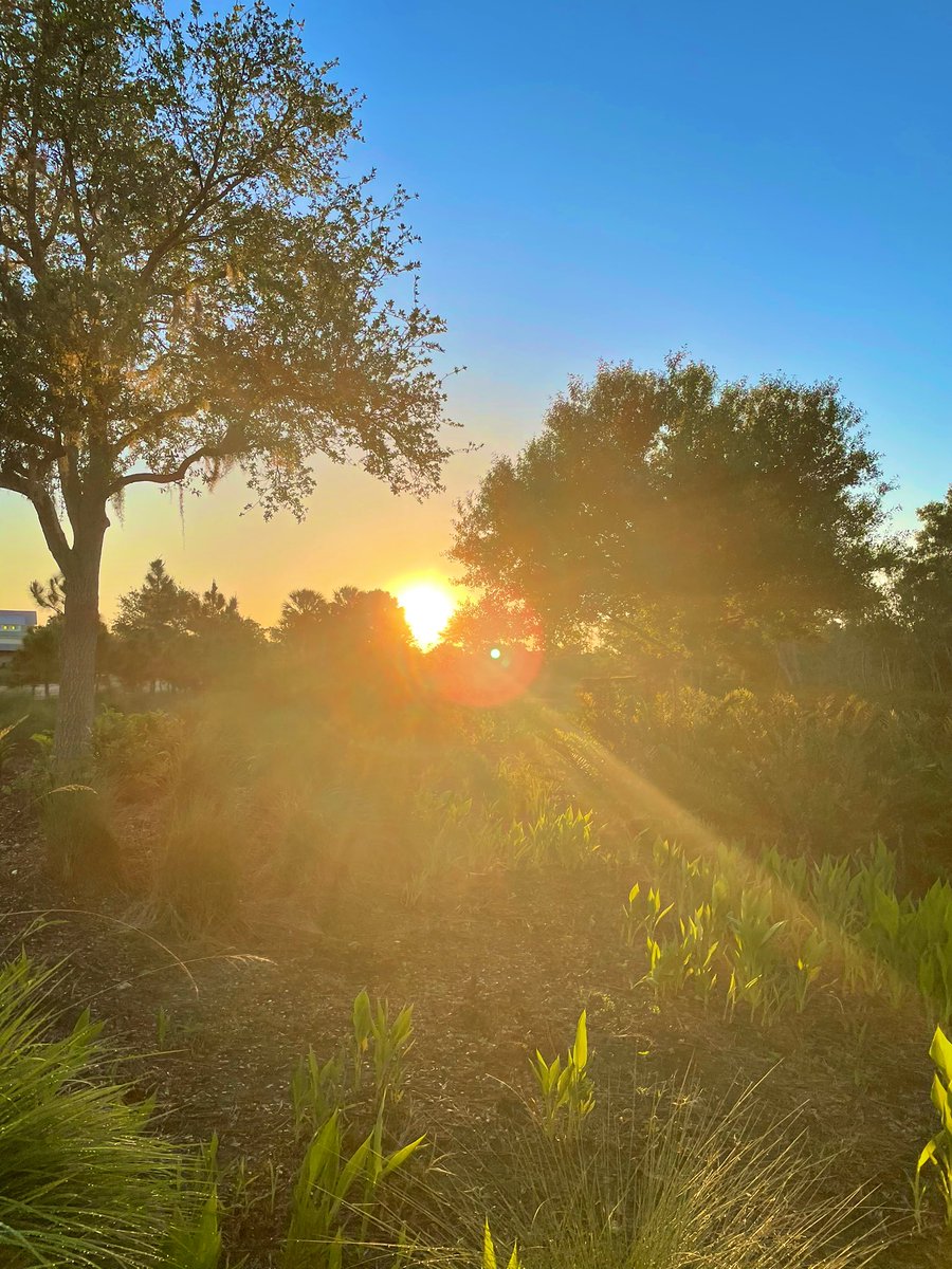 "Nobody wants to believe happiness is a choice, because that puts responsibility in their hands. It’s the same reason people self-pity: to delay action, to make an outcry to the universe, as though the more they state how bad things are, the more likely it is that someone else