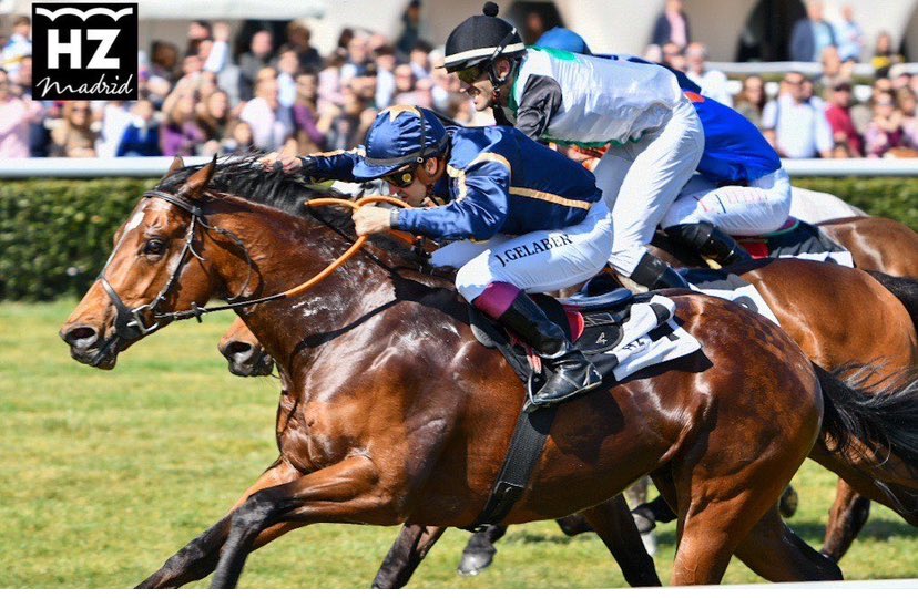 En las buenas y en las malas siempre con Magic y con inseparable <a href="/jgelabertb/">Jaime Gelabert</a> . Sin una herradura de inicio y con el estado de la pista , se rompe la estadística . 10 montas a Magic y solo hoy fuera del dinero . Siempre de un gran caballo y su gran jockey . A por la siguiente !.