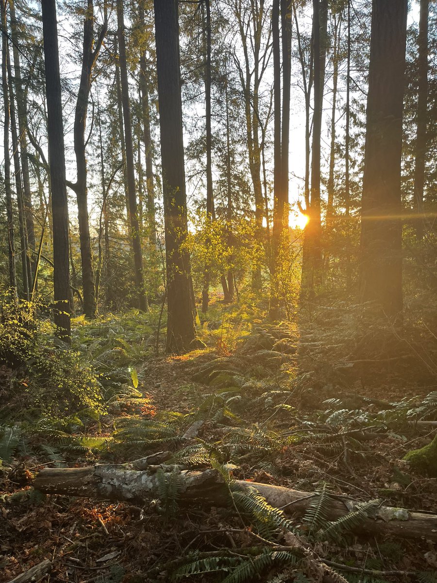 Looks like the ultimate comeback tour has official kicked off - Jesus has left the Tomb! Happy Easter!