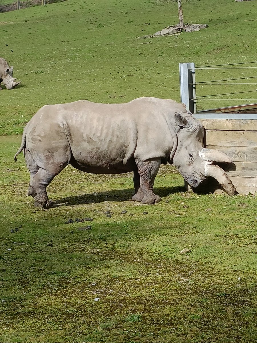 Gill Bennett tweet media