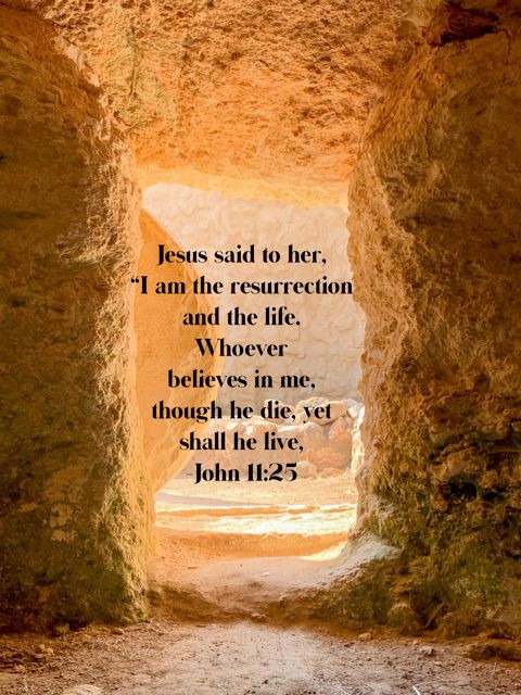 beth_straight's tweet photo. 🙏 Amen 🙏
@MaxLucado 
@JoelOsteen @Pastor__West
@RickWarren @CarlSHansen @alicechoice12 @chrisvweatherly https://t.co/cTRnHOYDxP