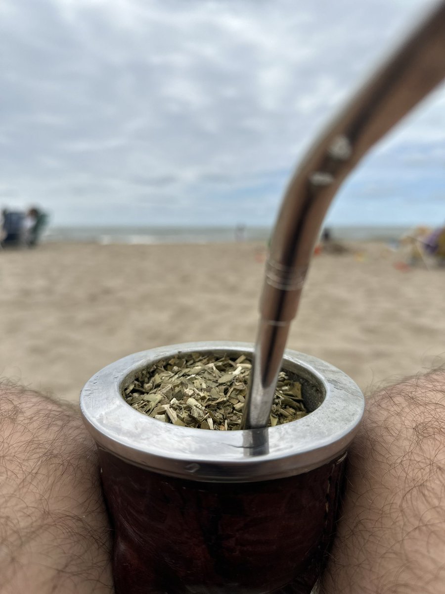 SergioEGomez's tweet image. Mi único objetivo era tomar mate en la playa. No pedía más.