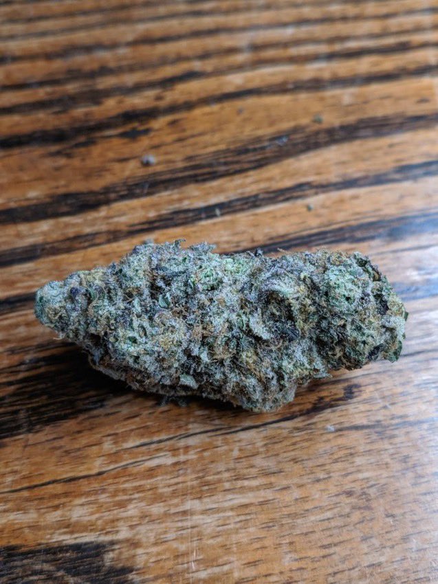 More herb grown using the Destiny Organics system!
Some Peyote Cookies x Gelato 🔥🔥🔥
Truly next level smoke. Absolutely perfect in every way!

#cannabiscanada #thc #cbd #cbdheals #CBDlife #healing #StonerFam #StonerNation #hemp #Ontario #Toronto

#Bet hightimesweedshop.com