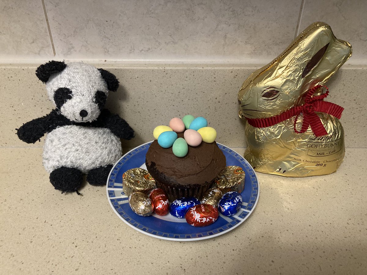 Adventure_Gauss's tweet photo. Happy Easter everyone! I made Easter cupcakes and shared with my bunny friend. #Easter #easter2024 #EasterBunny #eastercupcakes #cupcake #cake #bunnyFriend #EasterEgg #EasterEggs #chocolateEgg #chocolateCupcake https://t.co/Wx0bIB47hJ