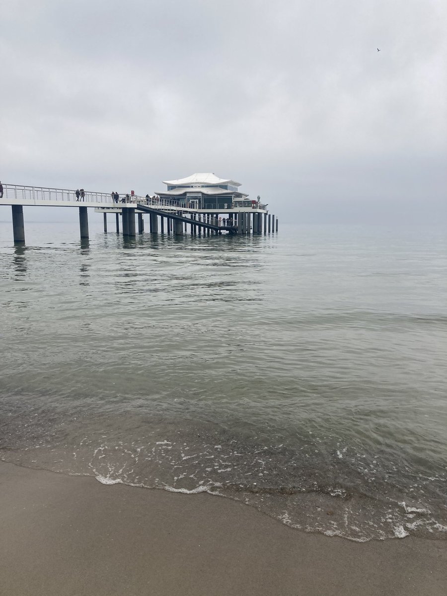 Carmen Maria Parrino tweet media