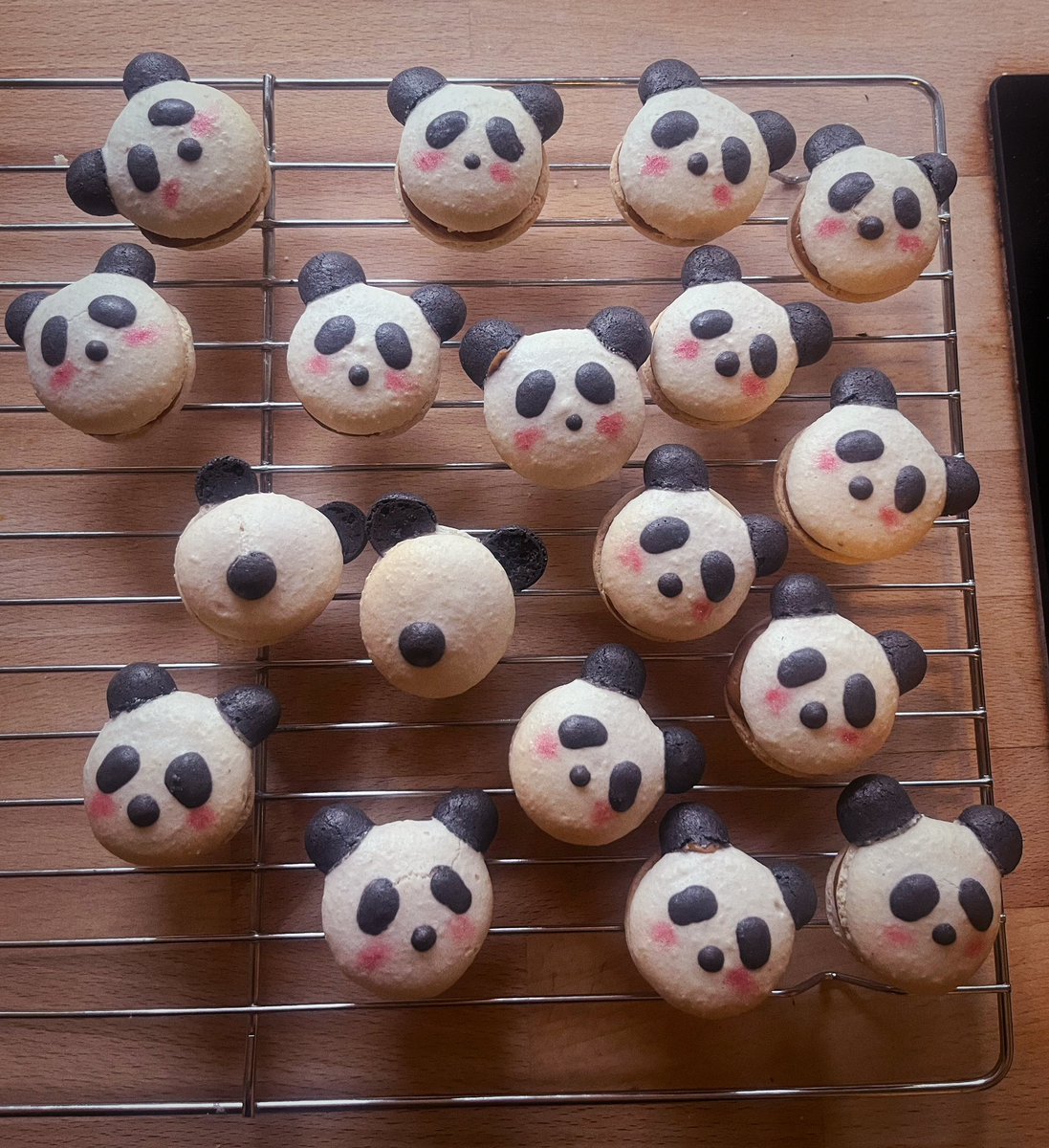lois_Starkey's tweet photo. Baked some salted caramel macarons today! 🐼 https://t.co/iBSlIBybLO