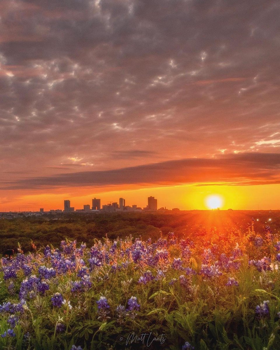 VisitFortWorth's tweet image. Happy Easter, Fort Worth! 🐰

📸: @lantzscape_photos