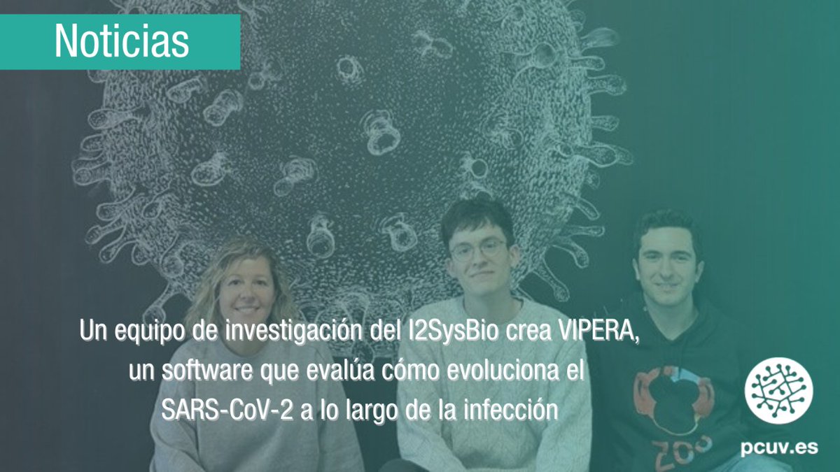 📰| #InstitutosPCUV

🦠VIPERA, una herramienta creada por el I2SysBio junto con otros centros españoles, permite analizar la evolución del SARS-CoV-2 dentro de pacientes que sufren infecciones crónicas por este virus.  

Lee la noticia ⬇️
news.pcuv.es/home-pcuv-inst…