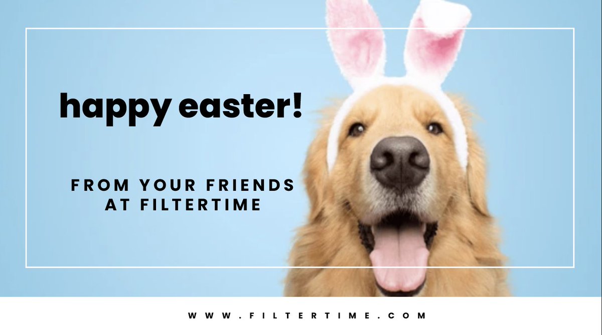 Wishing you a day overflowing with joy, laughter, and smiles from your friends at FilterTime. May your day be filled with endless happiness and positive vibes! 🌟 #SpreadTheJoy #FilterTimeFamily