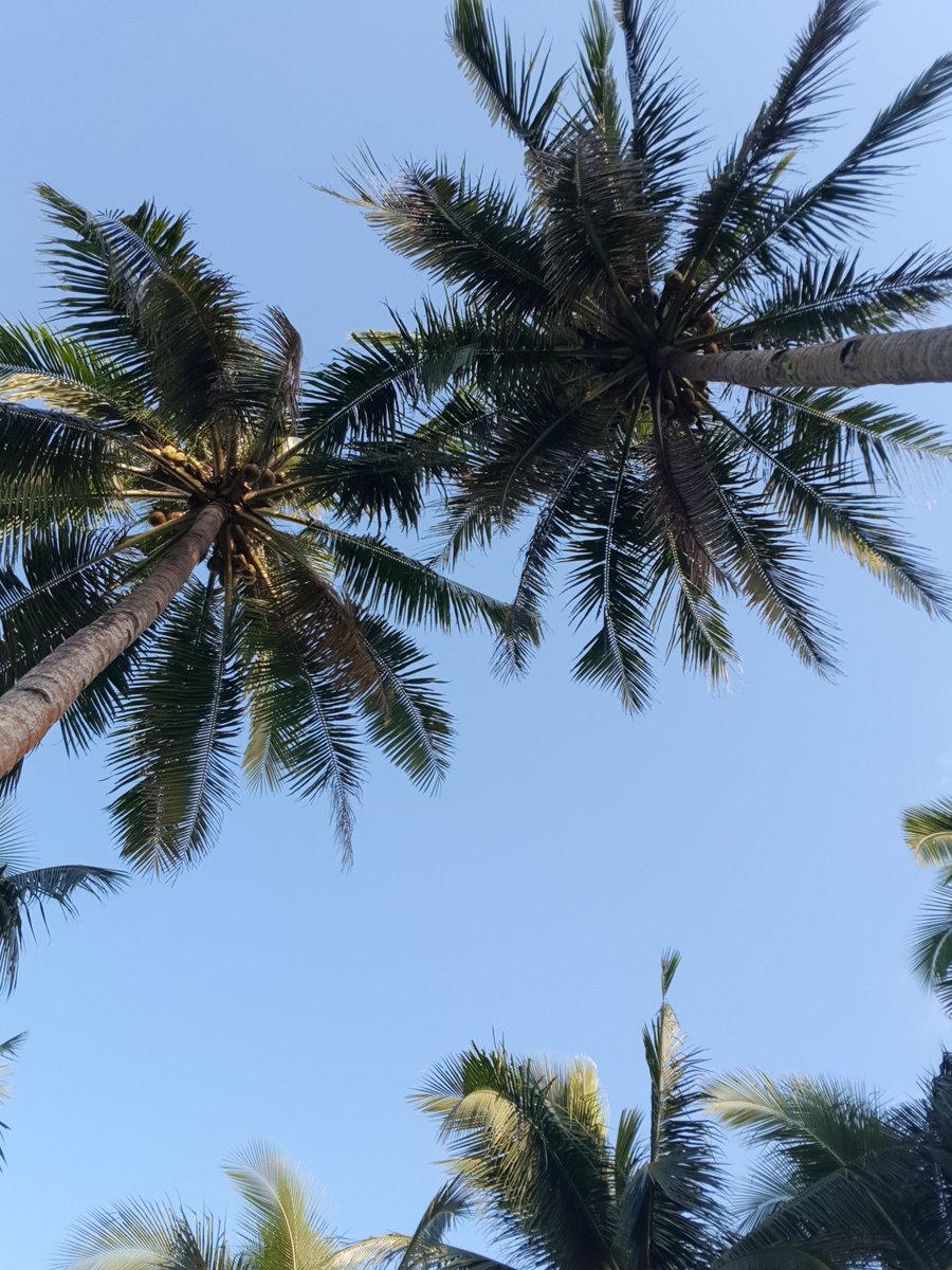 TacloBae's tweet photo. My POV today. Happy easter! https://t.co/ViEMlJzESM