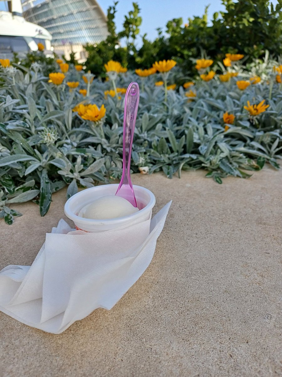 This year's first! #spring in #Cyprus ☀️🌡🏖