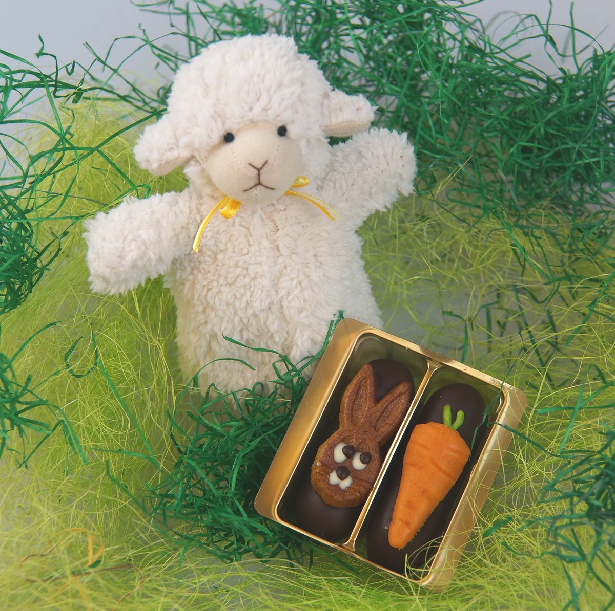 #Ostern #Ostern2024 #Easter #Paques #Pasqua2024 #Frieden