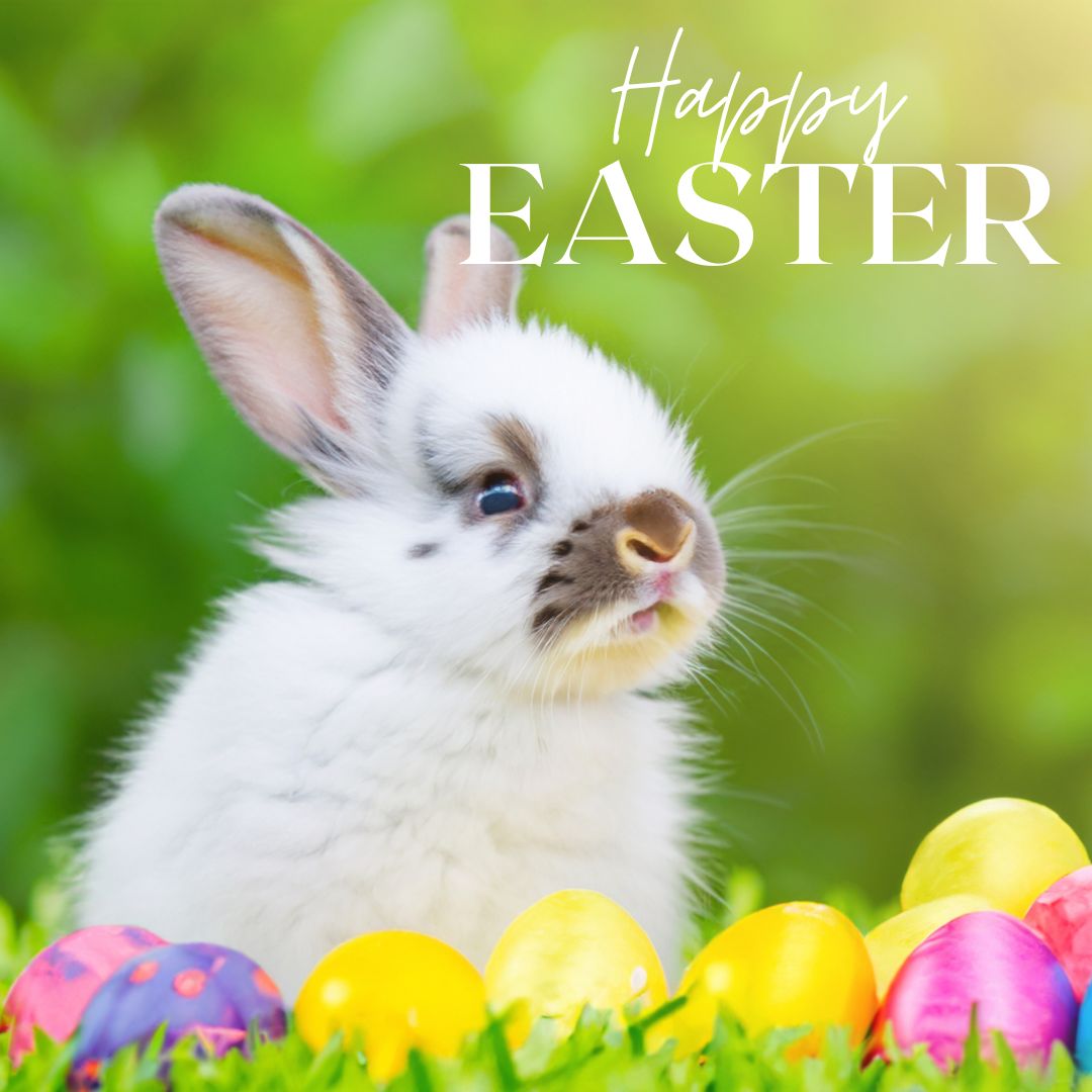Happy Easter! Let us make your hunt for a new home just as delightful as searching for Easter eggs! Happy Easter! Let us make your hunt for a new home just as delightful as searching for Easter eggs!

#easter #easterbunny #homeownership #eastreggs #homesweethome #easterhomedecor