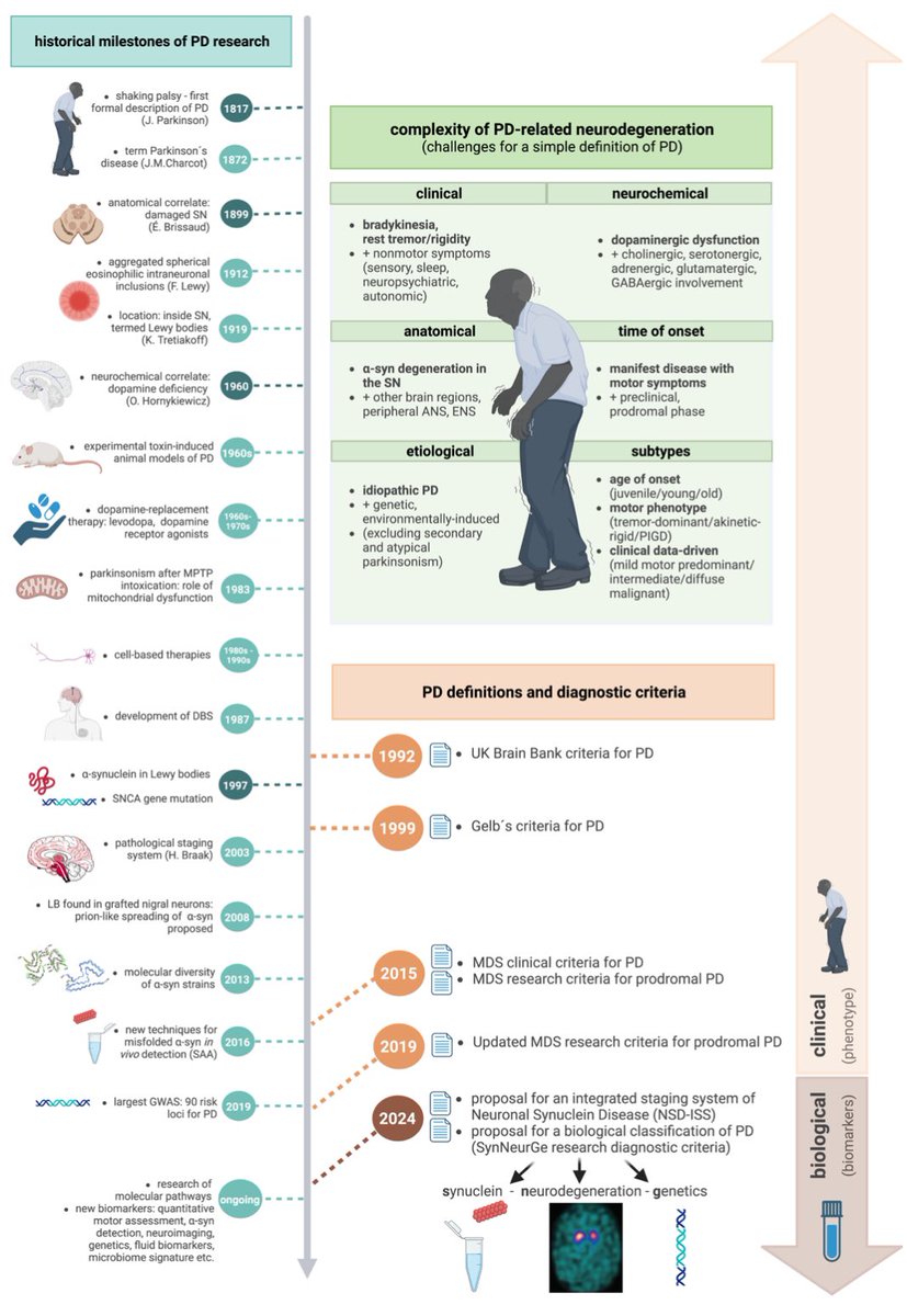 We must ‘look back to look forward’ and to define Parkinson’s disease for the age we live in. Berg and colleagues show us key milestones and provide guidance for our journey. content.iospress.com/articles/journ… #parkinson