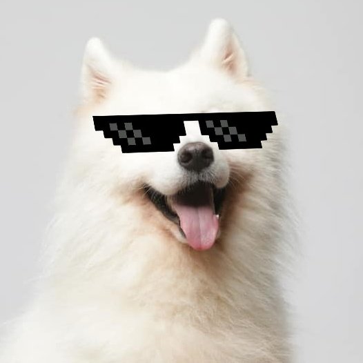 basedsamo's tweet photo. Hey based dog fam!

another dog is here,samoyed is here! 
Contract address &amp; website will be live soon ,follow like,retweet and paste your address🤓
#BASEChain
#BASED #memecoins $BASED https://t.co/wVqGRg7v1a