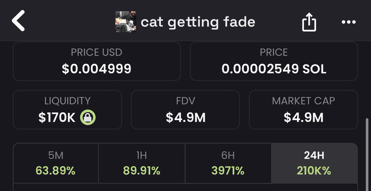 New all time high on $CGF 

$5M million marketcap ✅

$50M marketcap ⏳ 

It’s just a cat getting a fade.