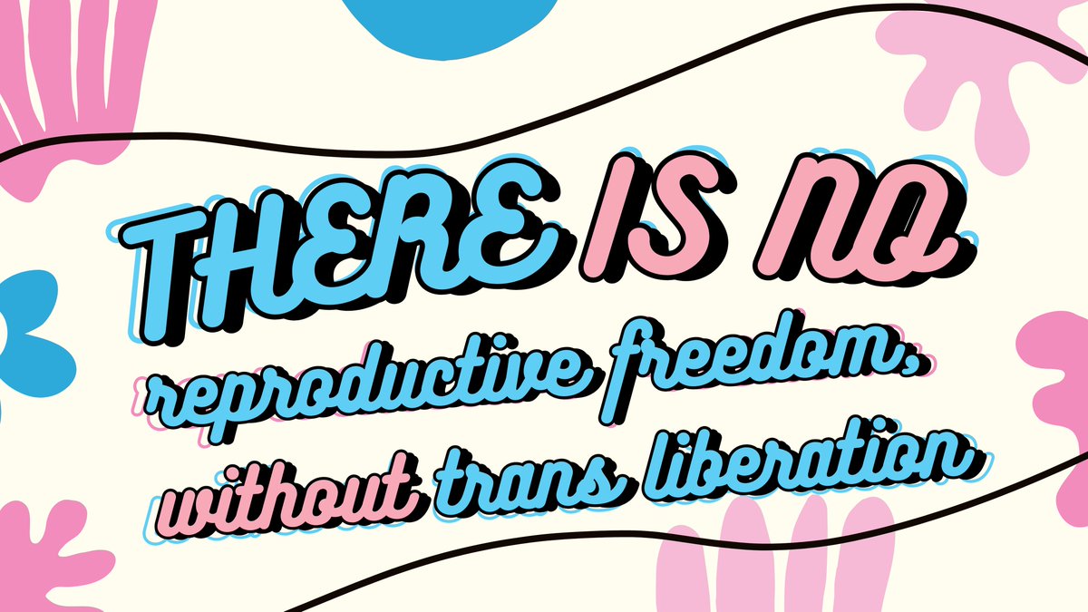 reproforall's tweet photo. Reproductive freedom demands that EVERYbody has the right to make decisions about their own bodies and futures.

This includes trans and non-binary people who deserve access to abortion, contraception, gender-affirming care, and more.

#TransDayofVisibility https://t.co/tMZw94ikbV