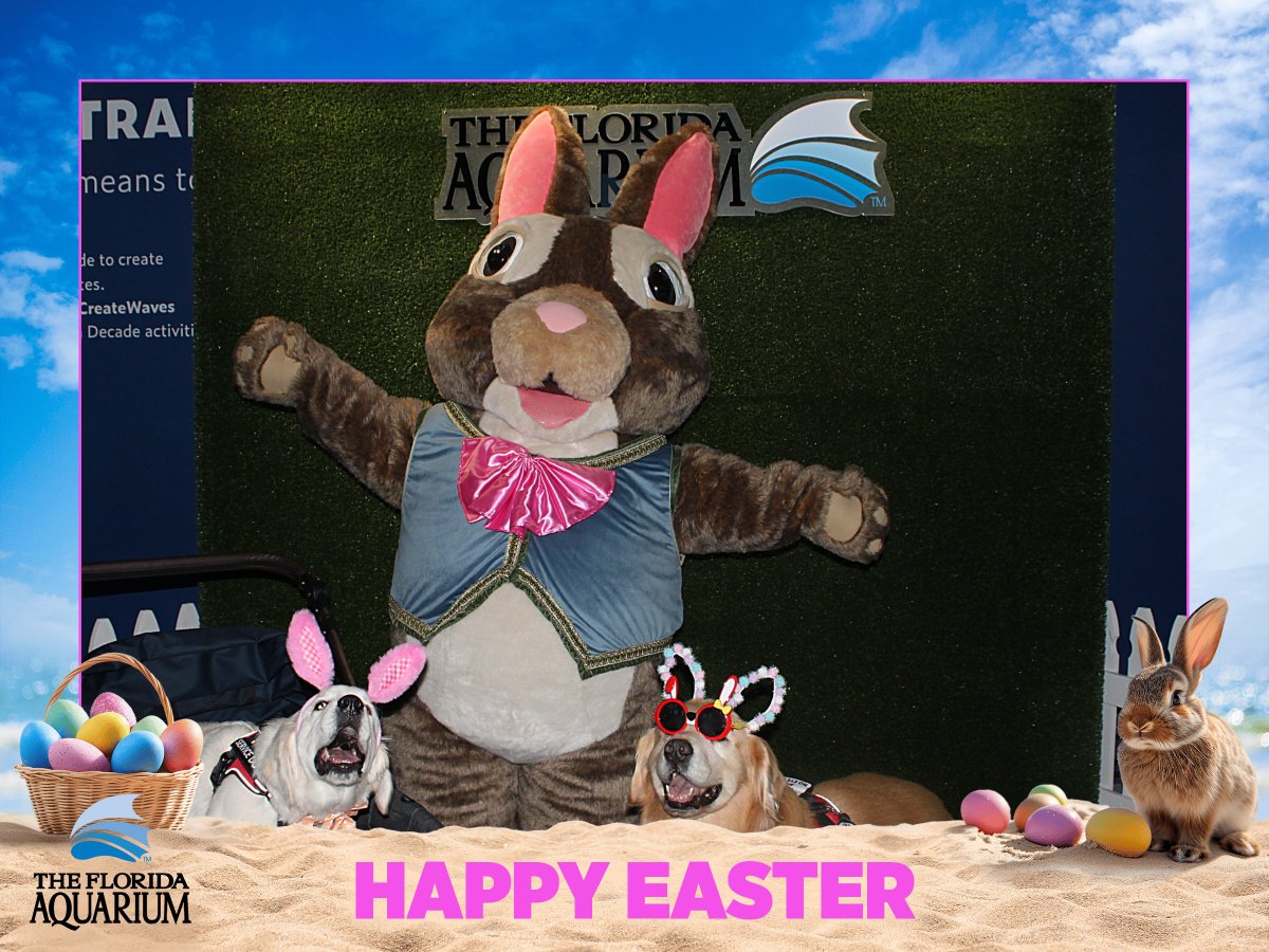 Hoppy #Easter from @floridaaquarium! Klarence #hesnoangel #HappyEaster #EasterBunny #dogsoftwitter #dogsofx #foodallergies #dog #puppy