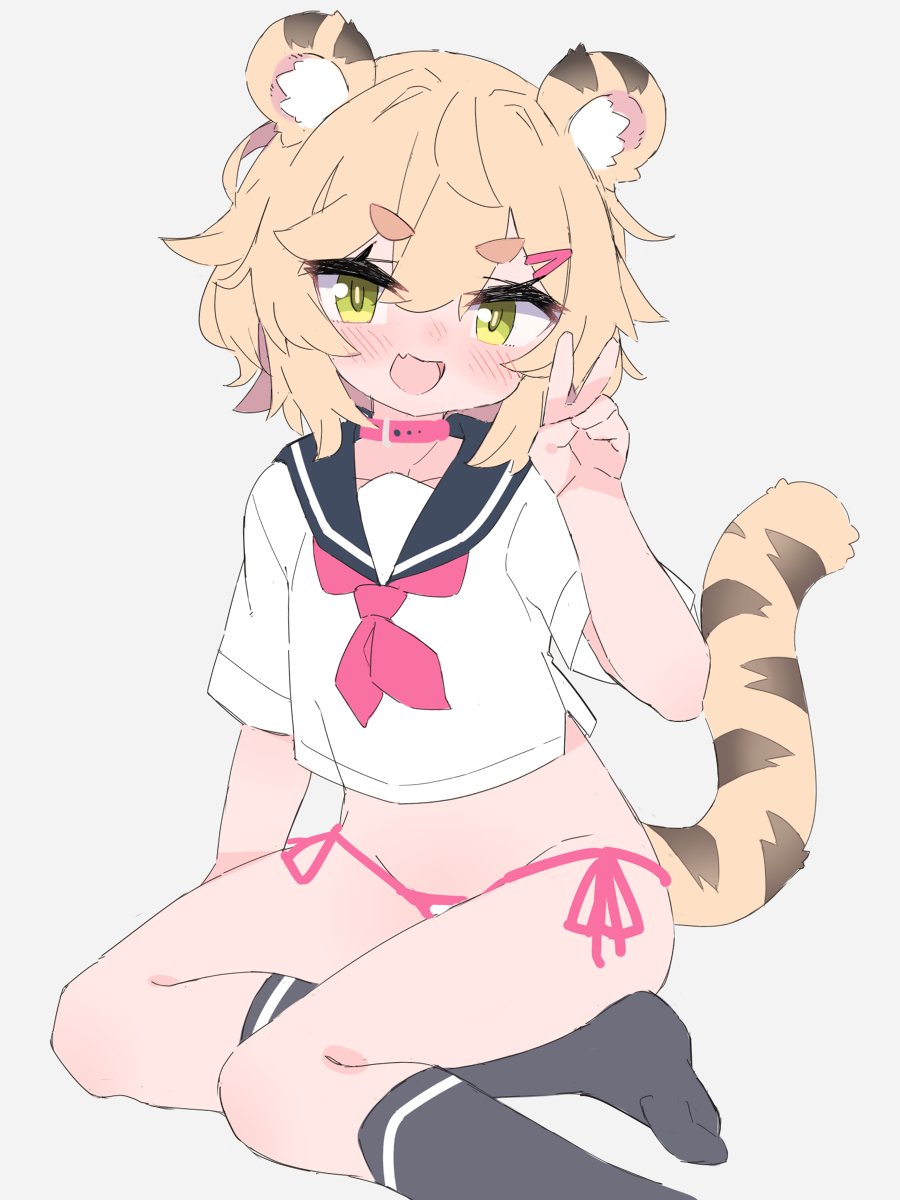 🐯wip 