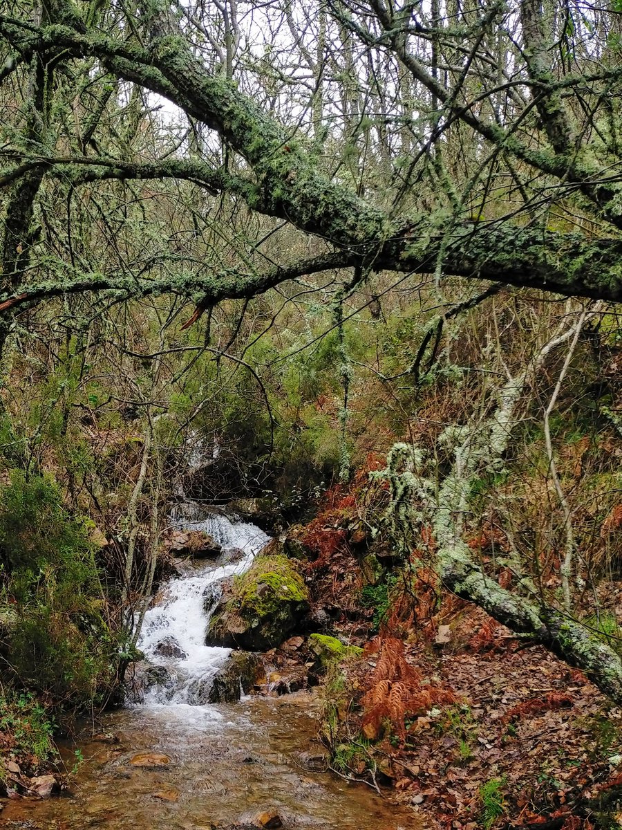e13sirio's tweet photo. Entorno del Río #Pedroso #Burgos https://t.co/V4GLckdft9