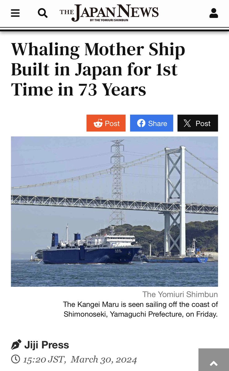Japan has built a new super sized whaling ship, I despair for the human race