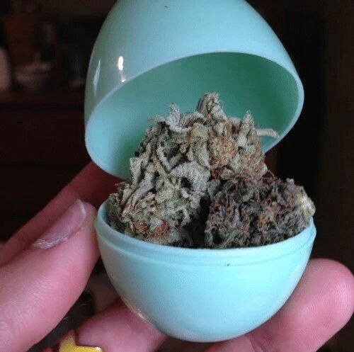 Easter egg hunt as an adult
