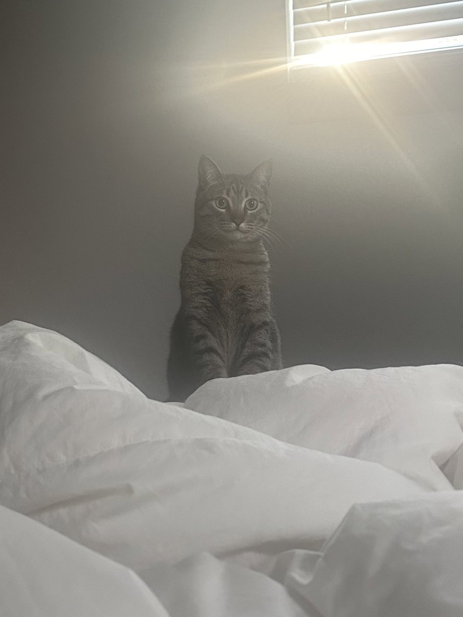 BE NOT AFRIED SHE HATH RISEN