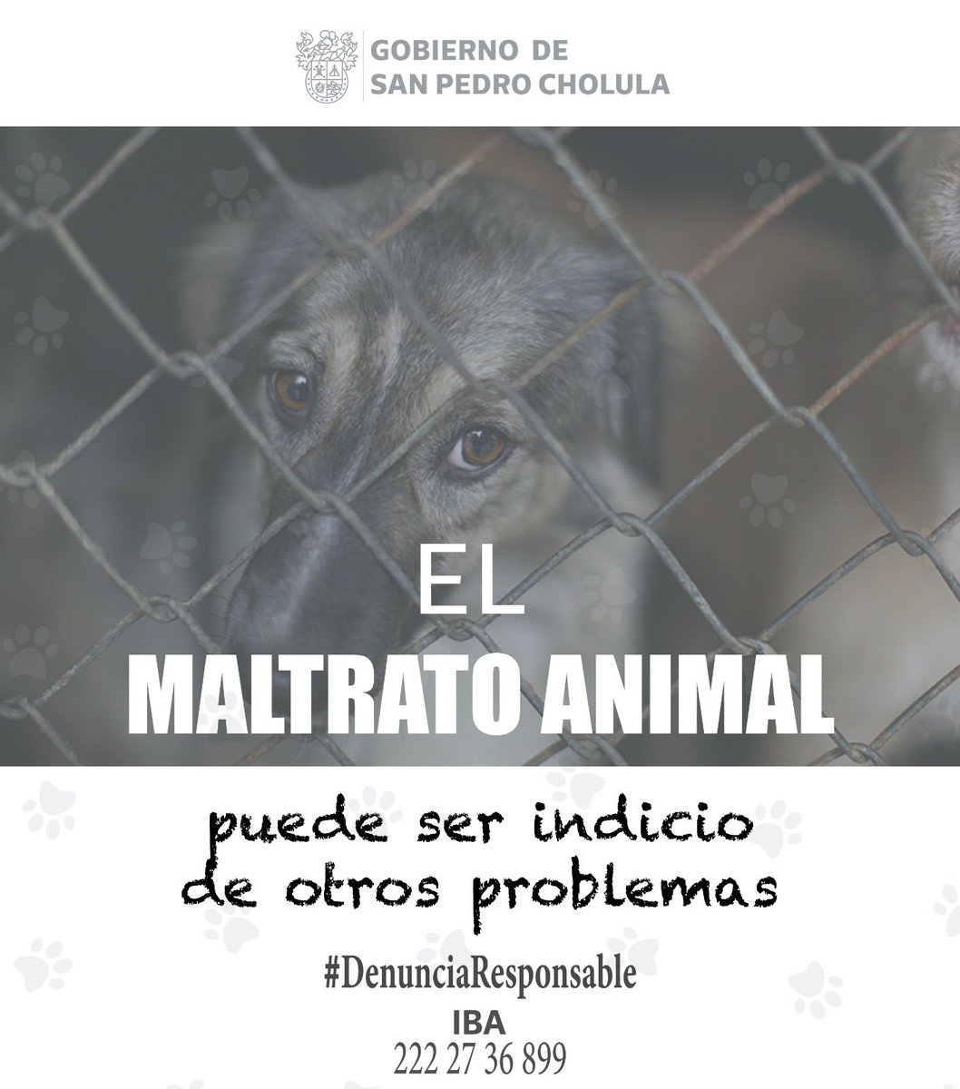 Juntos somos la voz de cada michi y lomito. Unámonos para erradicar el maltrato animal y brindarles hogares dignos.
¡Fomentemos en niñas, niños y comunidades una tenencia y #DenunciaResponsable!
Ante actos de crueldad, comunícate al Instituto de Bienestar
Animal
222 273 68 99.