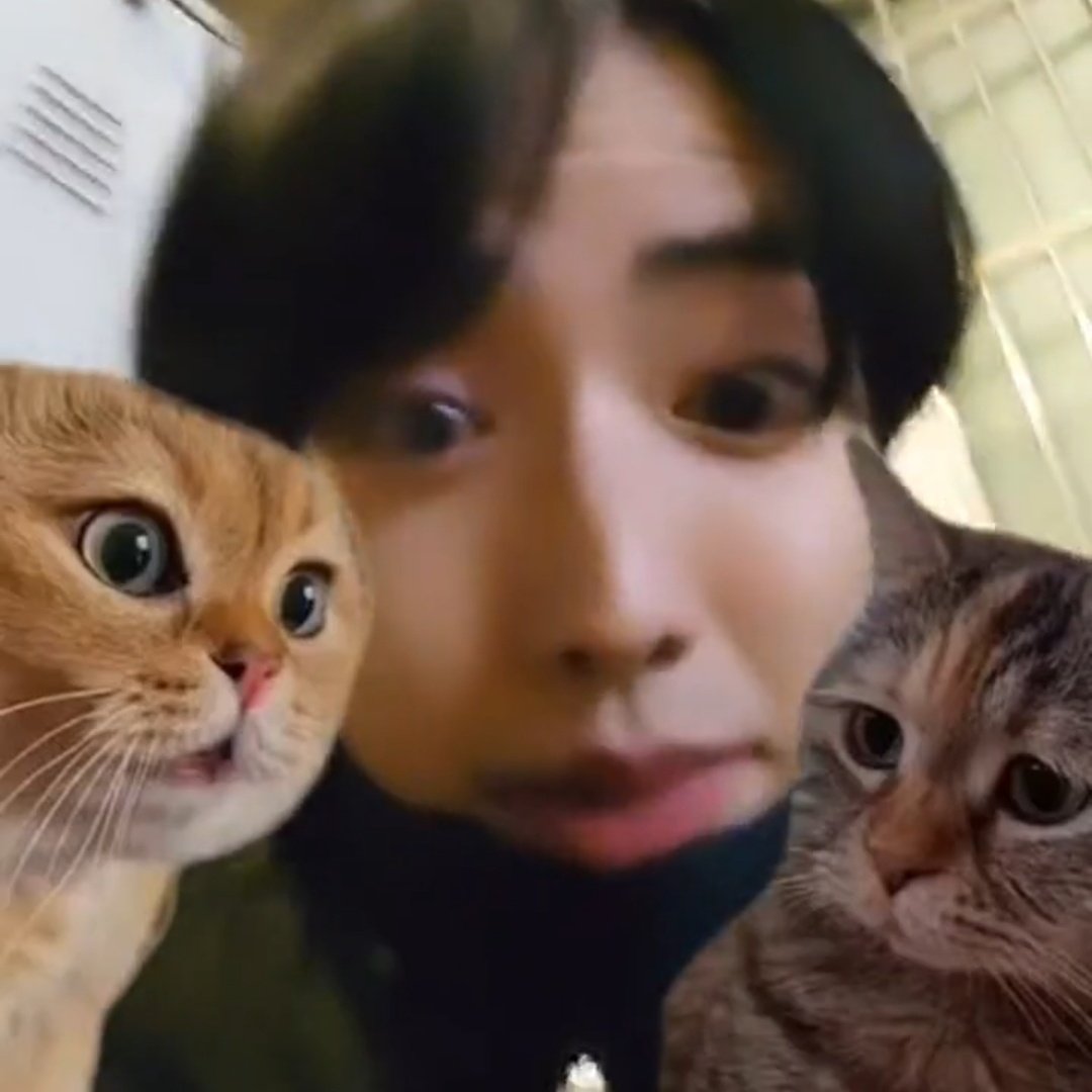 아 미치겠음ㅋㄱ규
끄는 법 몰라서 필터를 몇개를 한거얔ㄱㄱ
귀여워...