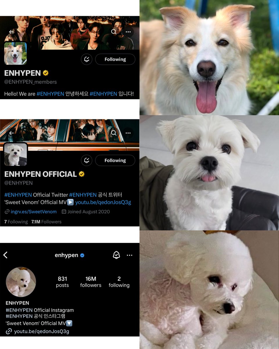 보조개･ᴗ･ tweet media