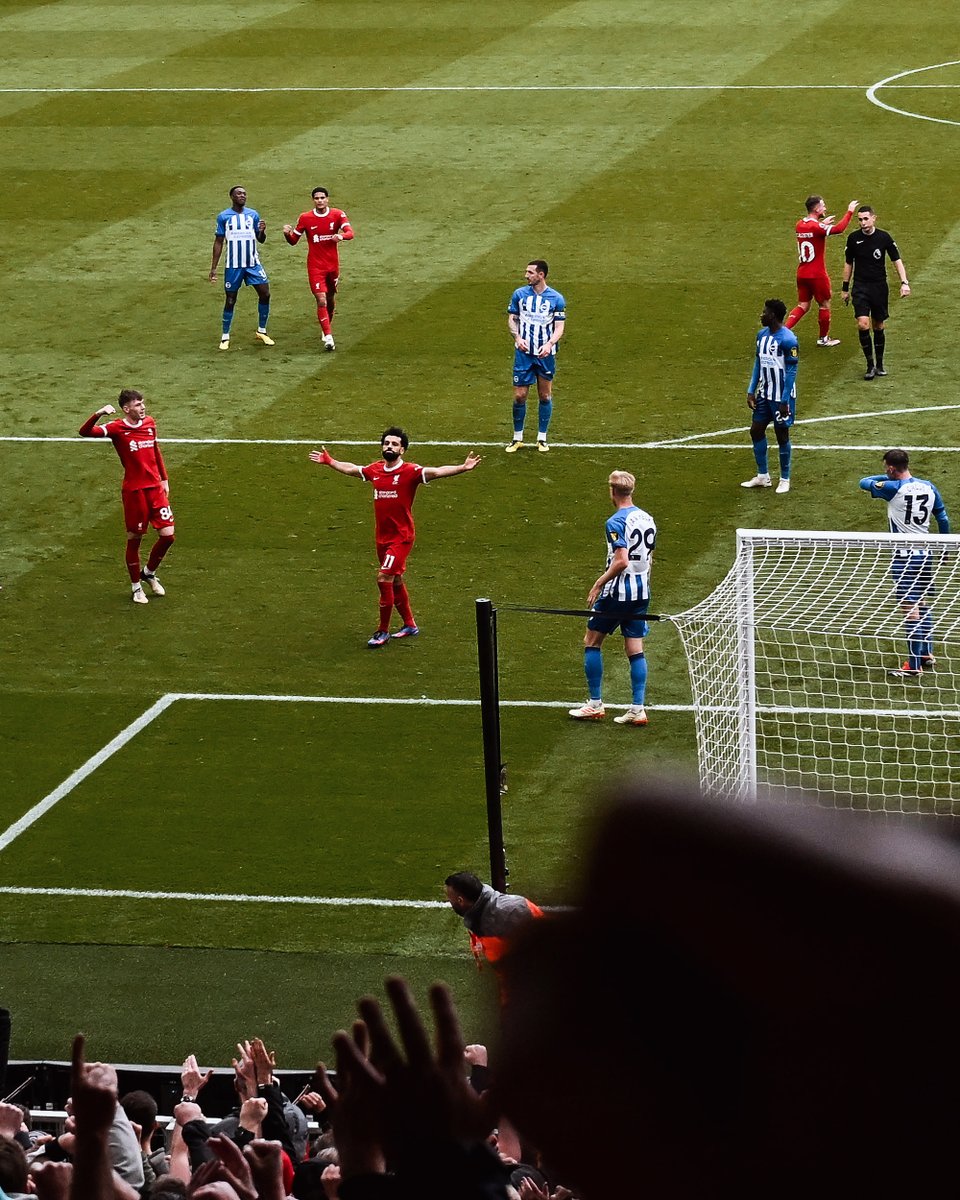 The Egyptian King 🇪🇬👑