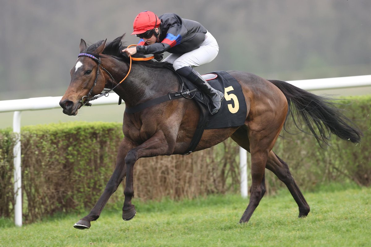 Peace of Rose wins the second Listed race of the season. The filly was an offer at the Sales&Racing Festival 2020