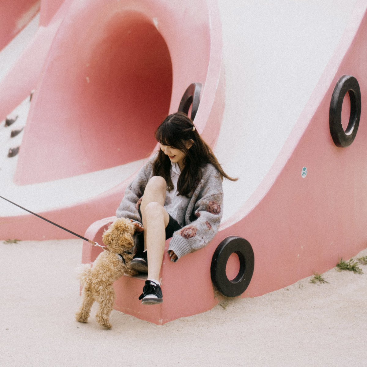 phckry's tweet photo. 犬飼い始めました🐕 ͗ ͗🐾 https://t.co/FPlCzirW0V