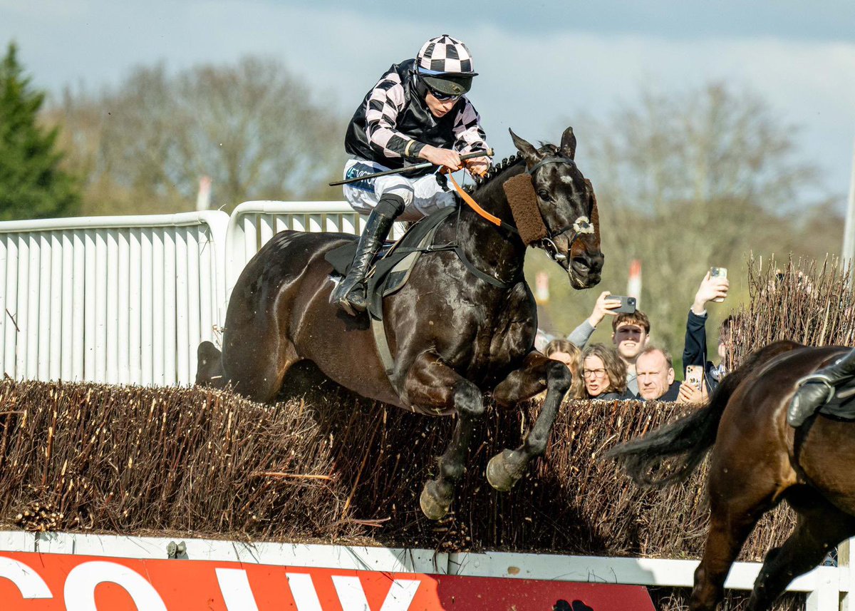 I don't think we'll ever be lucky enough to own another one like 🧢. 11 years young and brave as a lion winning the <a href="/betgoodwinuk/">BetGoodwin</a> feature at Plumpton today <a href="/CWilliamsRacing/">Christian Williams Racing</a> <a href="/MeganDentPhoto/">Megan Dent Photography</a>