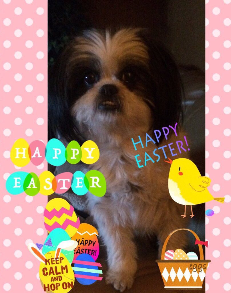 Happy Easter to all who celebrate 🐇💕