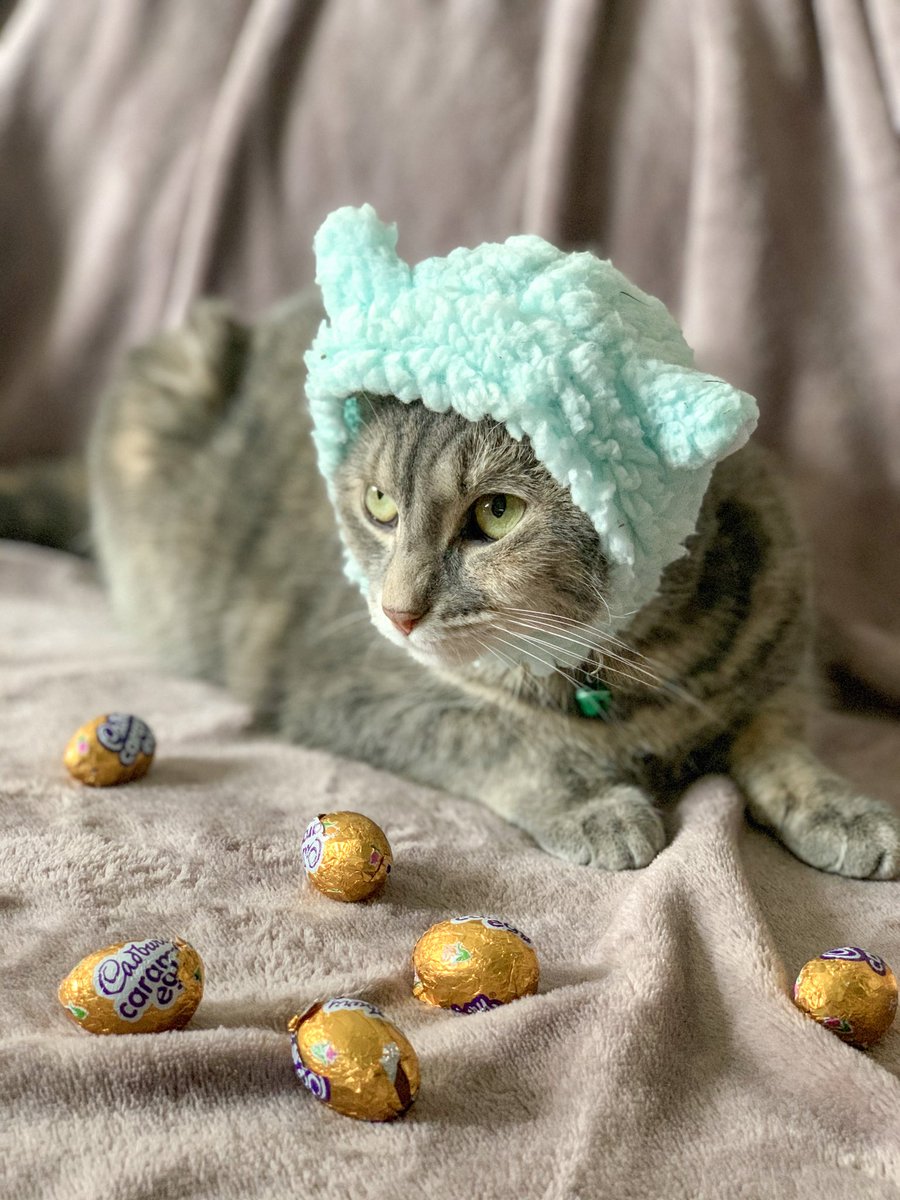 Happy Easter from that time early in the pandemic when I lost my mind and did an Easter photoshoot with my cat.