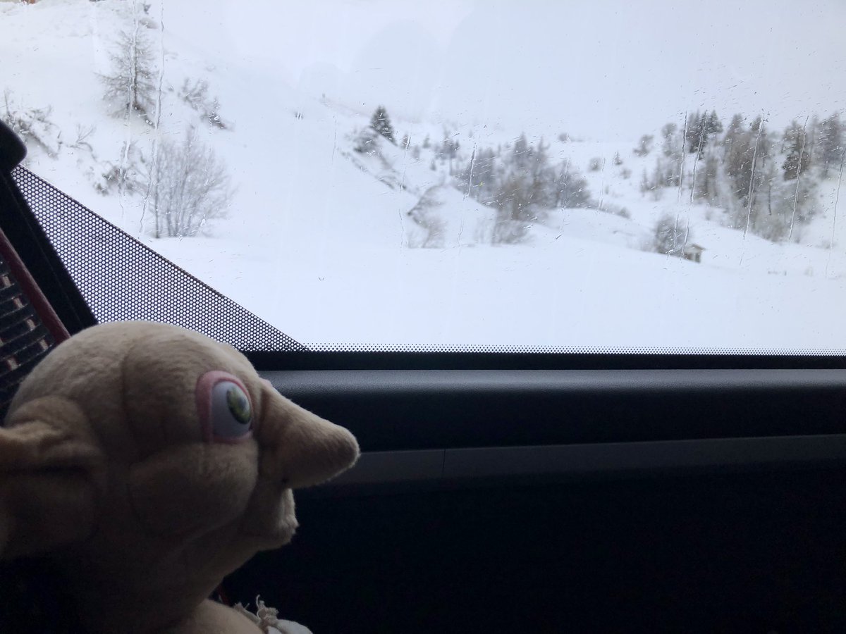 Super excited now! Just gone through Passo Tonale where we’ll be skiing ⛷. Snow looks excellent! @allsaintsccduk #ASCCSki24