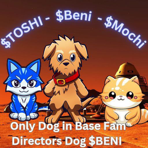 benionbase's tweet image. Soon he will invest in me @jconorgrogan