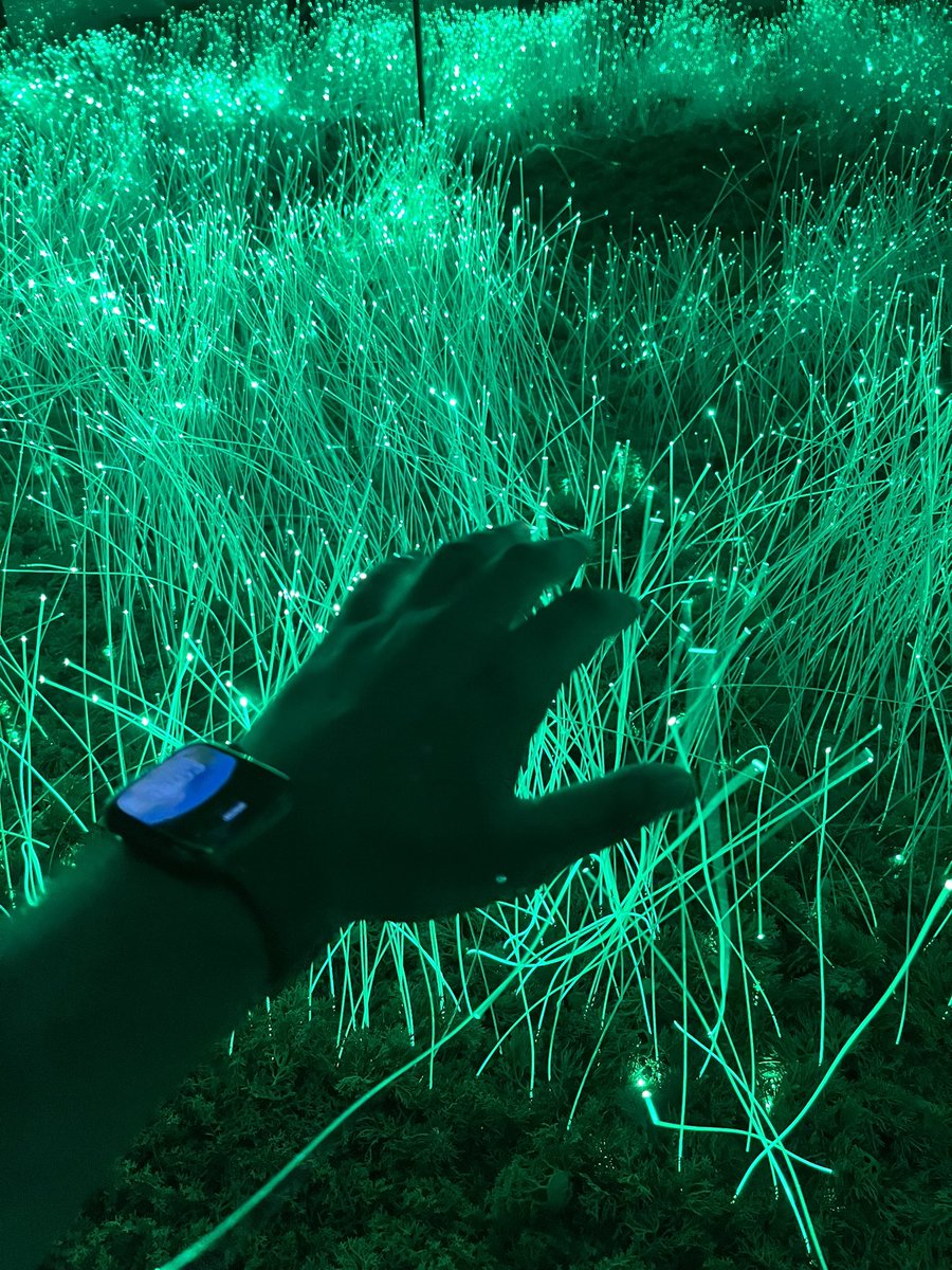 parmarthmori's tweet image. Harmony of Plant 🌱 &amp;amp; Technology 💡 

#GreenTech #Sustainable #PlantTech #NatureTech #techentrepreneur #parmarth #pmcommu #pm