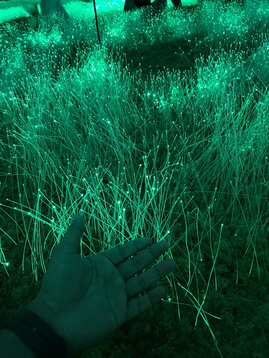 parmarthmori's tweet image. Harmony of Plant 🌱 &amp;amp; Technology 💡 

#GreenTech #Sustainable #PlantTech #NatureTech #techentrepreneur #parmarth #pmcommu #pm