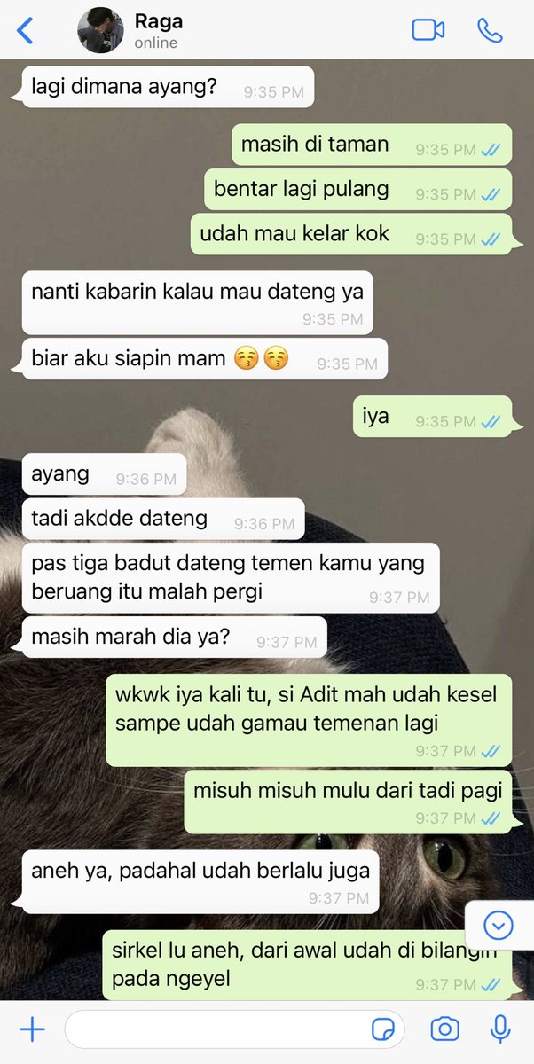 plantmygrav's tweet image. ;jealous jealous 
——nomin tweet