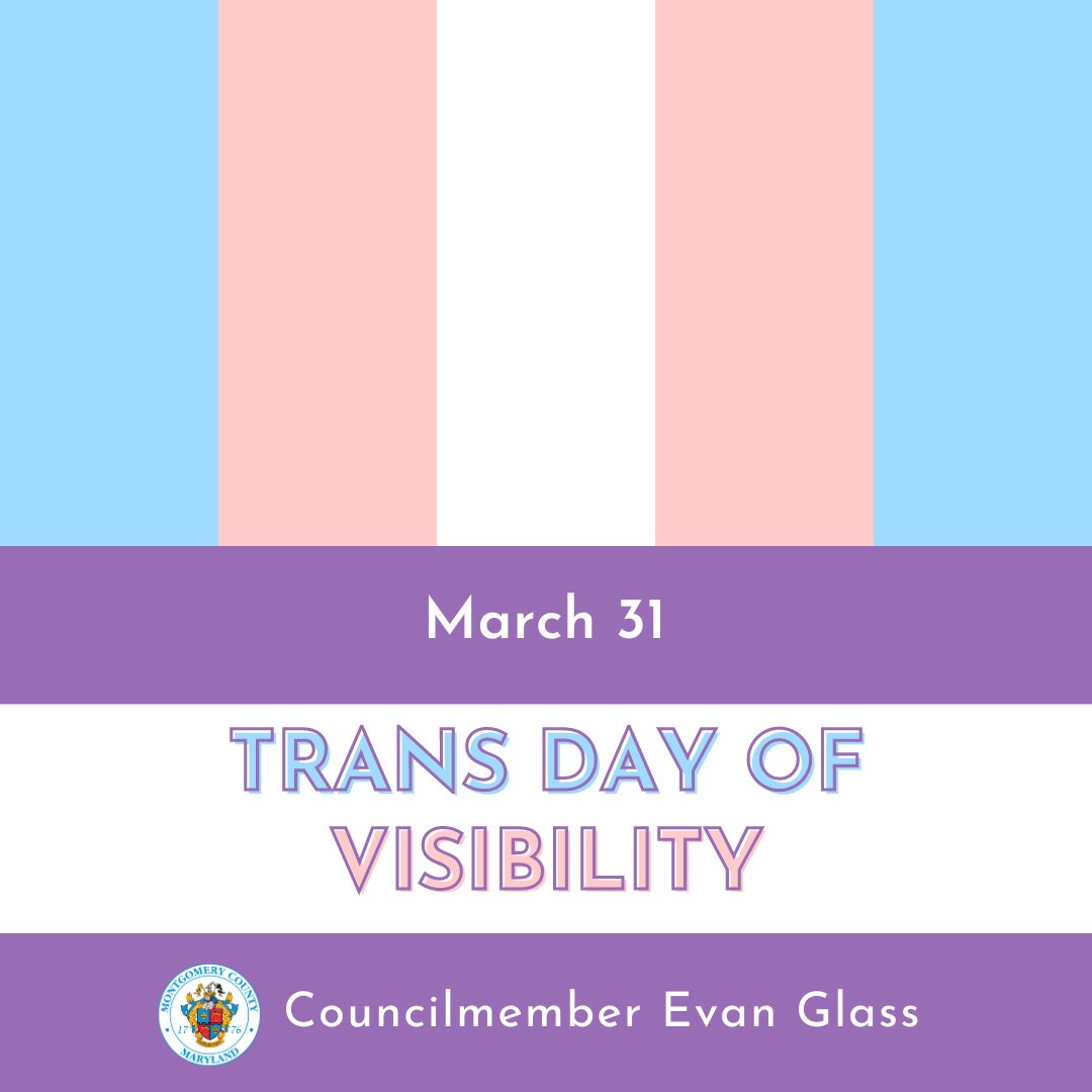 Happy Trans Day of Visibility 🏳️‍⚧️ Peace. Love. Acceptance. #TDOV2024